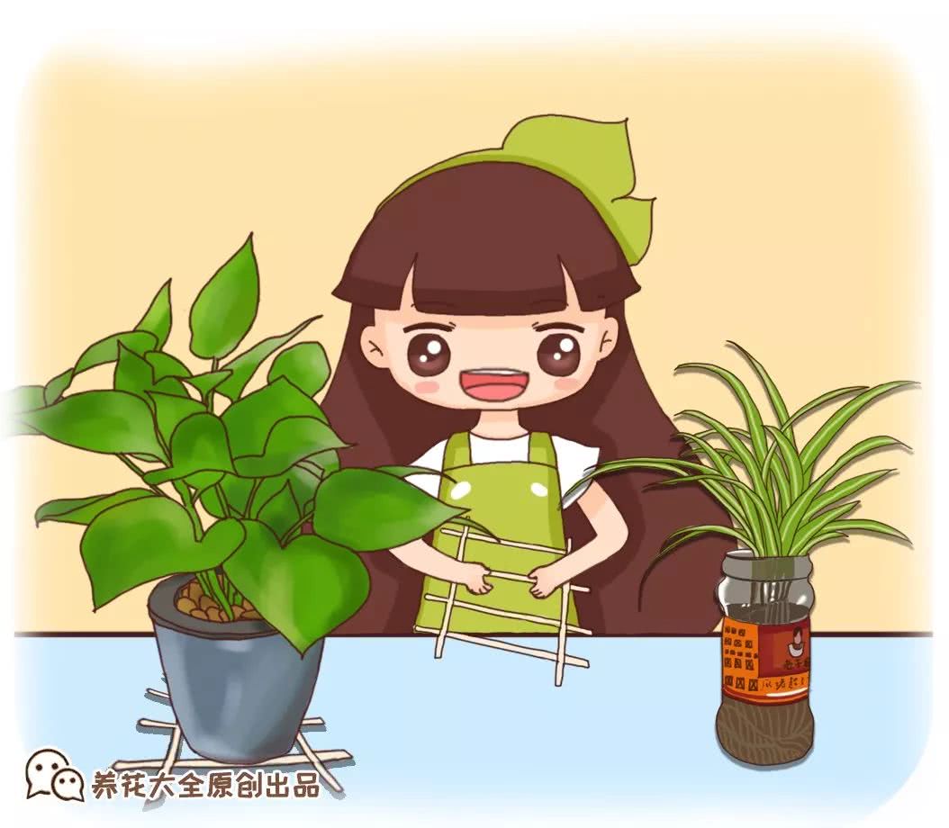 生活用品养花小技巧